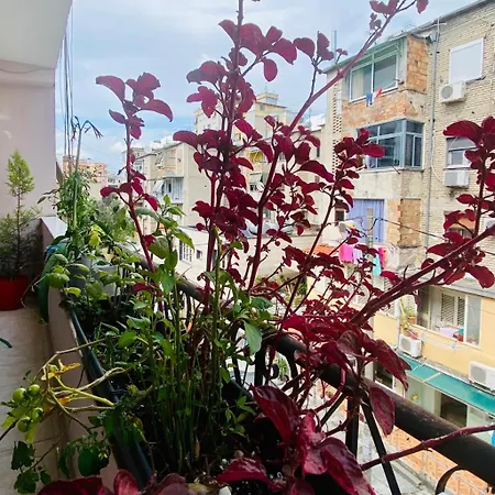 Penzion Apartment Tirana