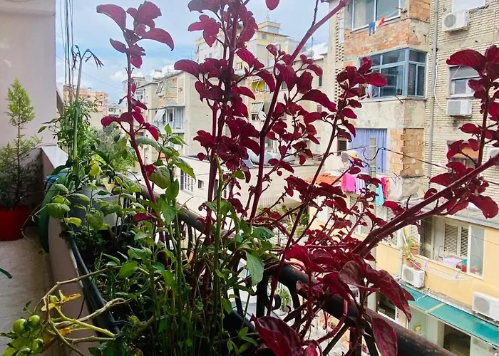 Affittacamere Apartment Tirana